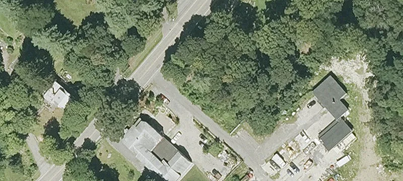 31 Wilkins St