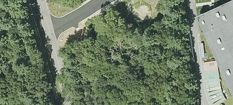 6 Old Webster Rd
