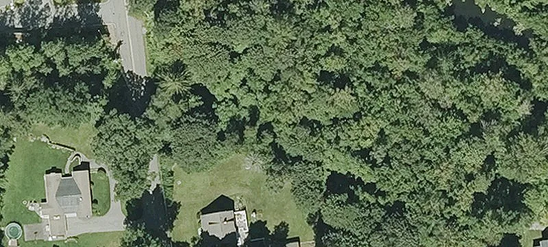 21 Prospect St