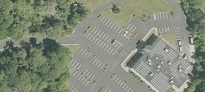 463 Swansea Mall Dr