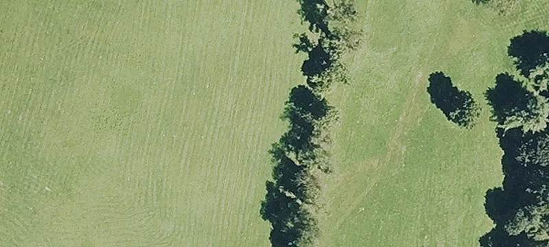 30 Frank Williams Rd