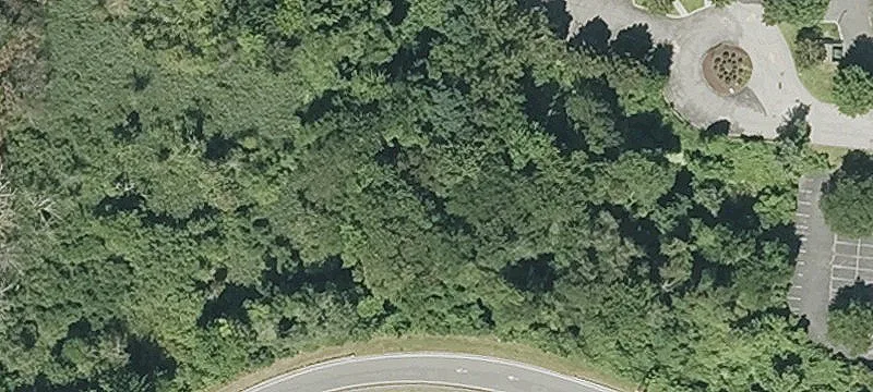 33 Border Way