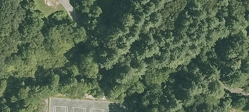 133 Robin Hl Rd