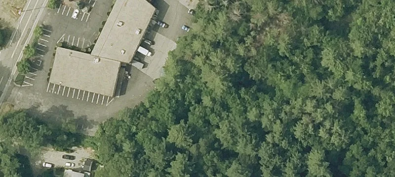 29 Cook St
