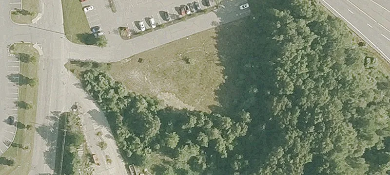 10 Jungle Rd