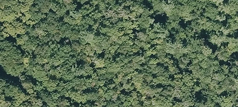 410 Cross Pl Rd