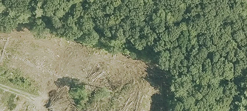 32 Princeton Rd
