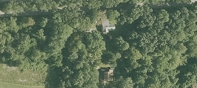 1st Belmont St