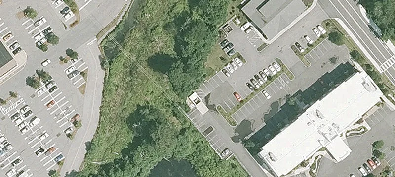 282 Elm St