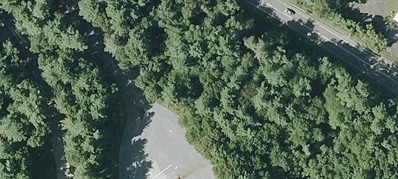 53 Cranberry Hwy