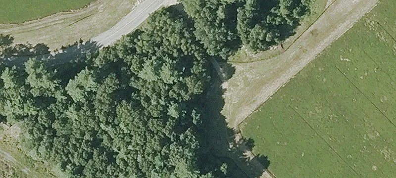 Ring Rd
