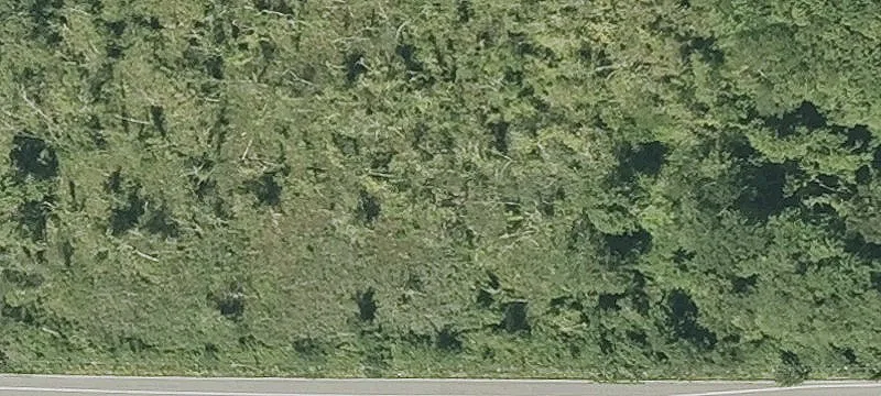 Tpke Rd