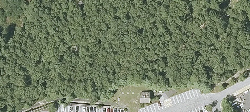 Falmouth Rd