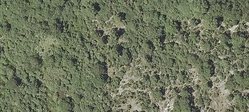 Pasture Rd