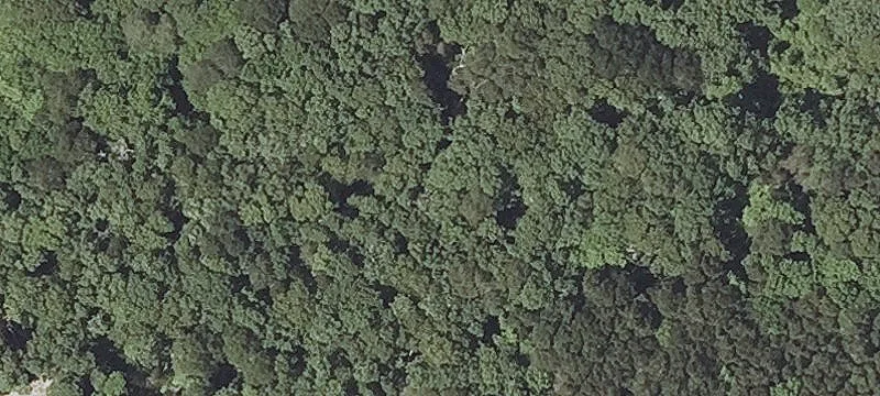 Lobsterville Rd