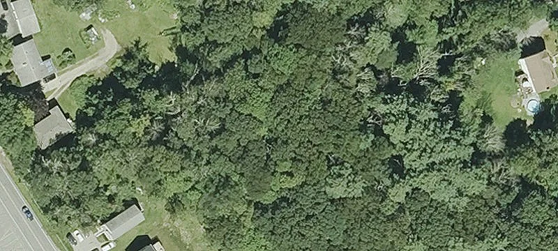 Gore Rd