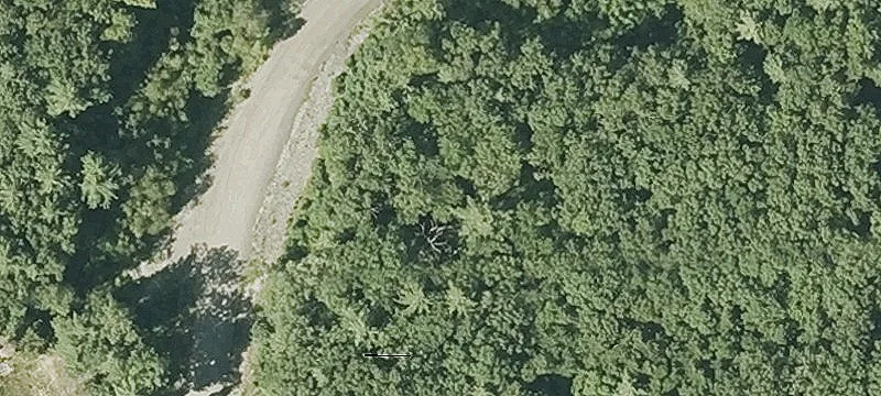 Athol Rd