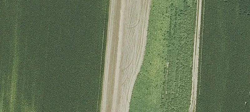 Whitmore Fry Rd