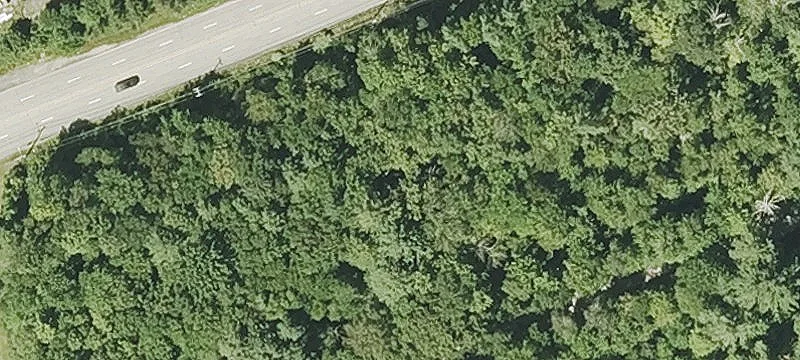 Sturbridge Rd