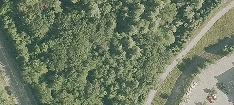 Old Willard Rd