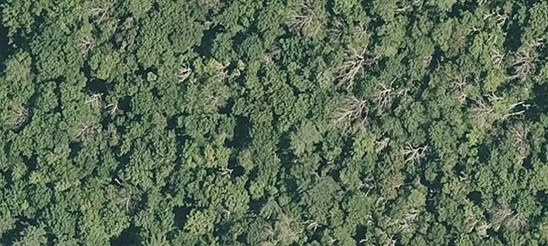 Old Vlg Rd