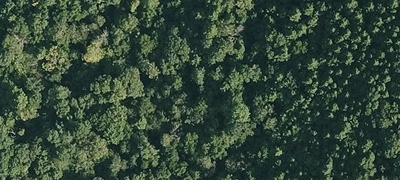 Yokun Rd