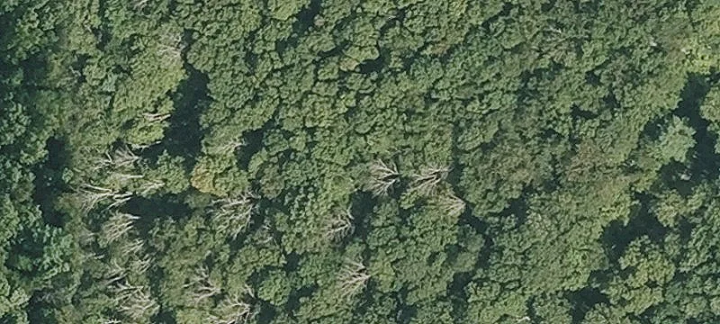 Swamp Rd