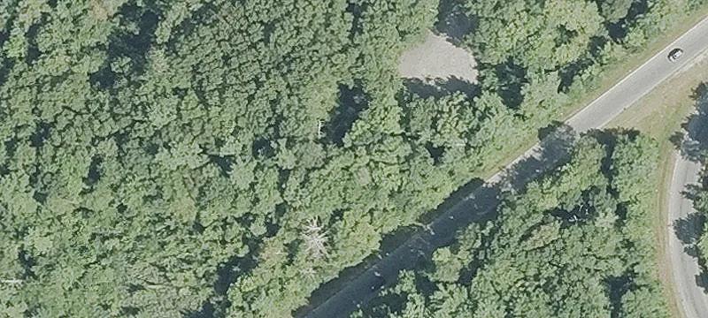 Old Reed Rd