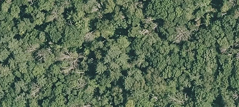 Old Vlg Rd