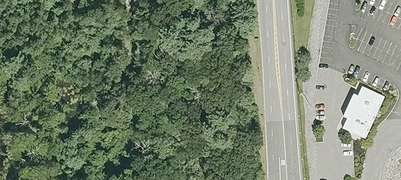 Cedar St