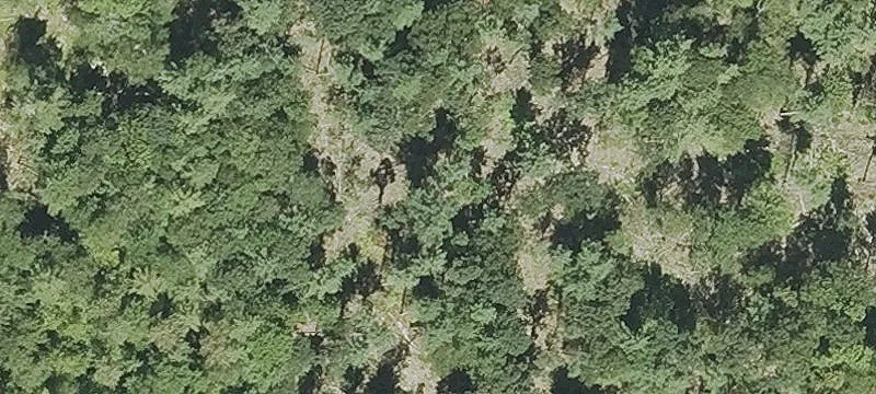 Coughlin Rd