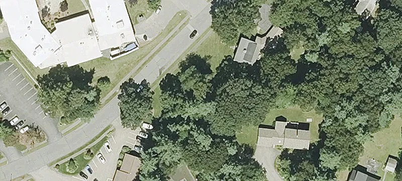Mayo Dr