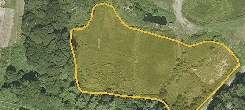 Bog Ln