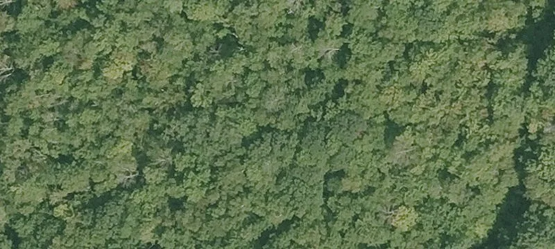 Notch Rd