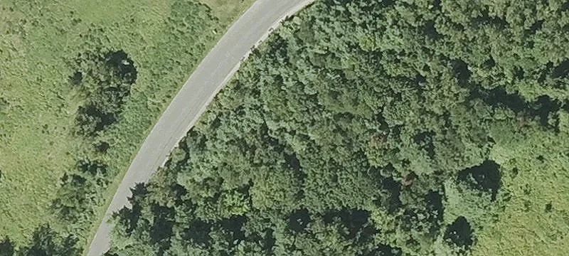 Trolley Xing Rd