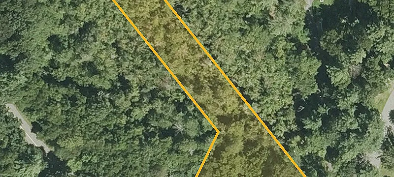 Martins Pond Rd