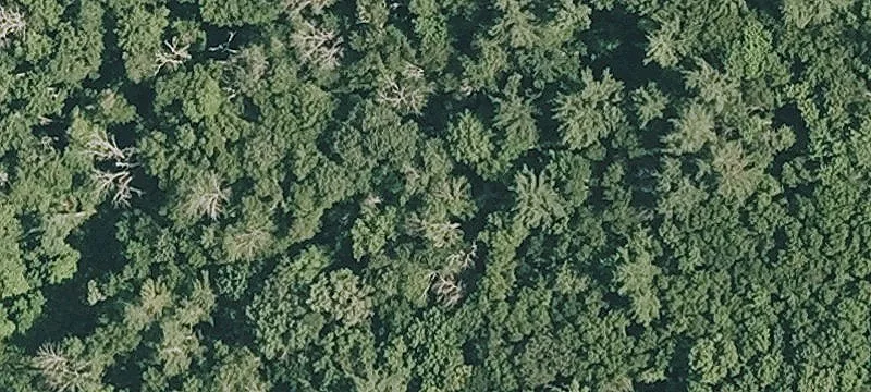 Old Vlg Rd