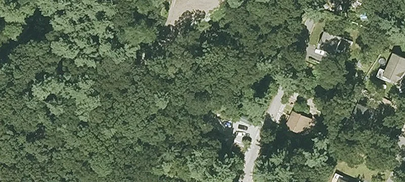 Whitewood Rd
