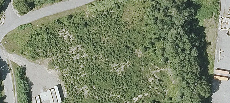 Langdon G Burwell Dr