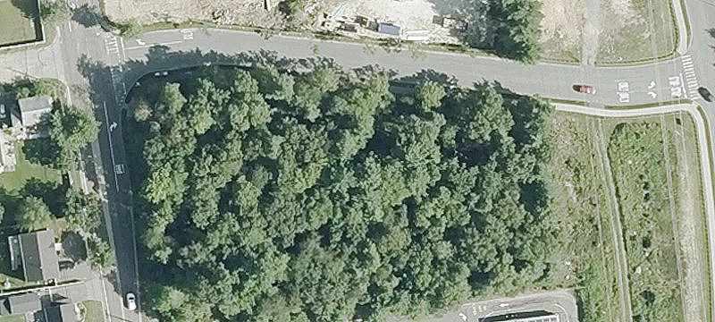 Cross Rd