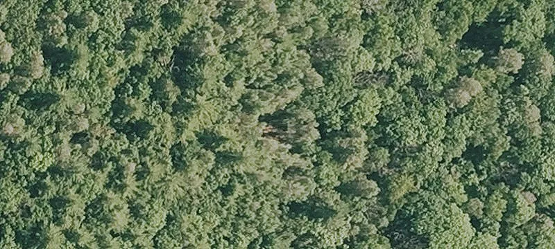 Long Pond Rd