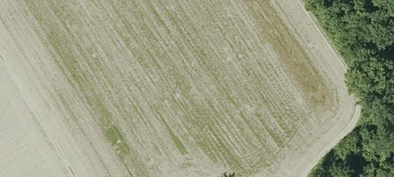 Dike Rd