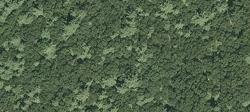 Nagog Hl Rd