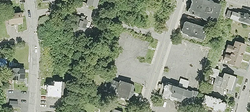 Blossom St