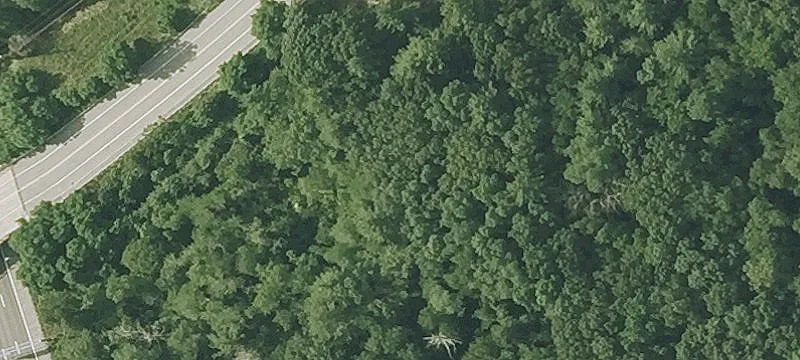 Rangeway Rd