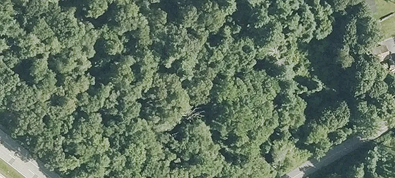 State Rd