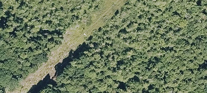 Gibbs Rd