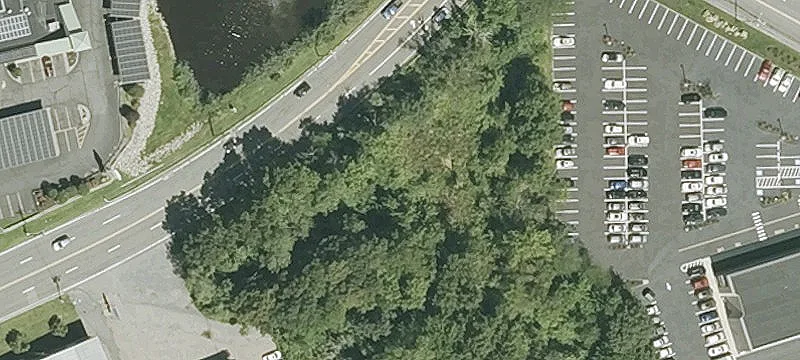 Main St