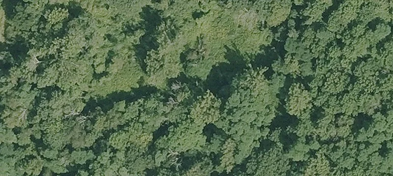 Notch Rd