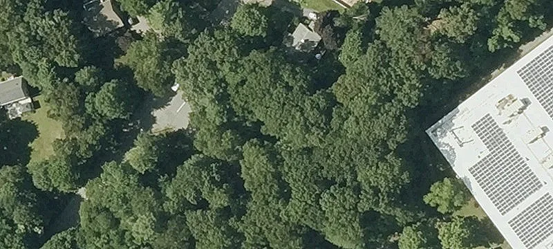Pond Ave